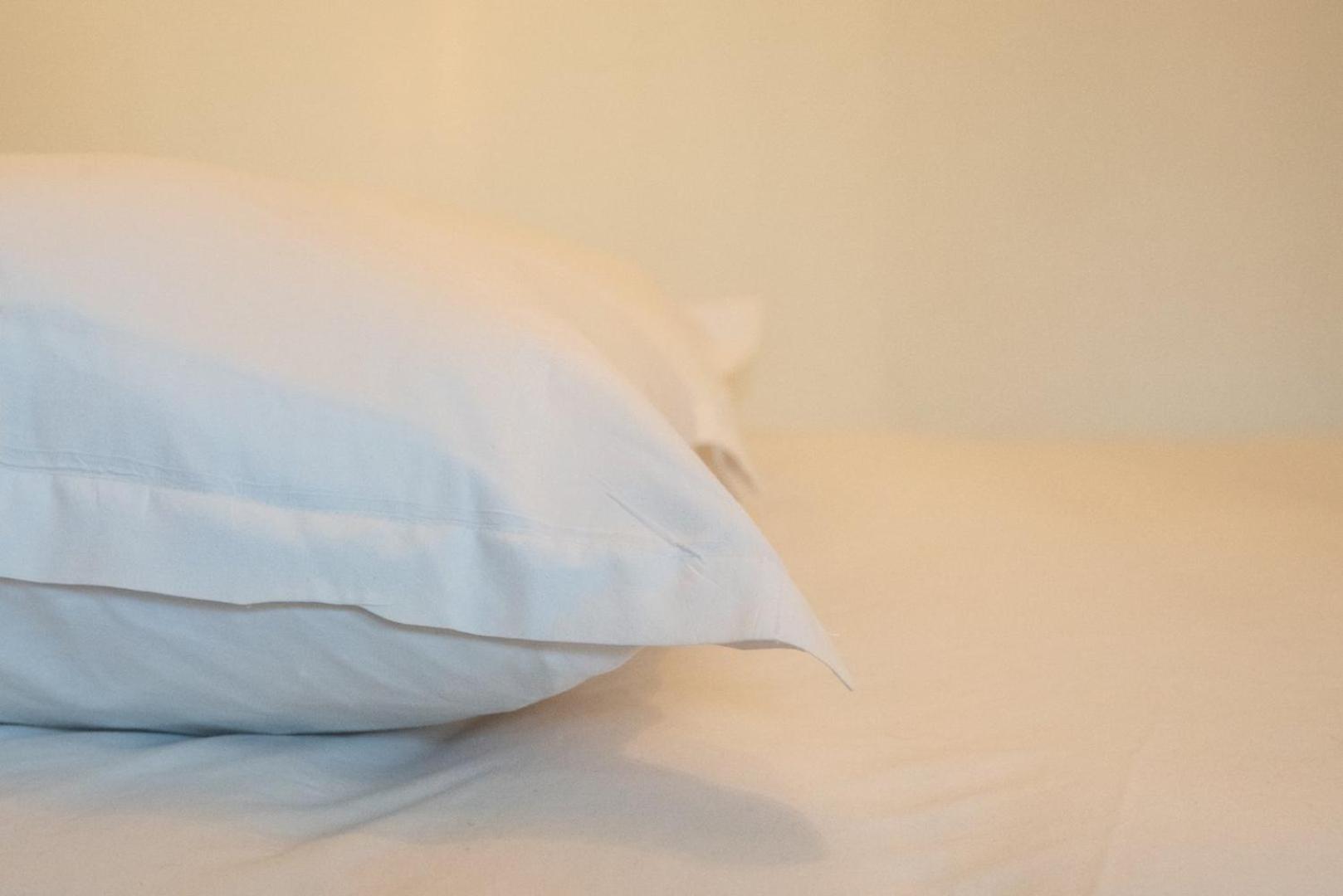Le Vendome - Bel Appartement Proche Centre Ville リヨン エクステリア 写真